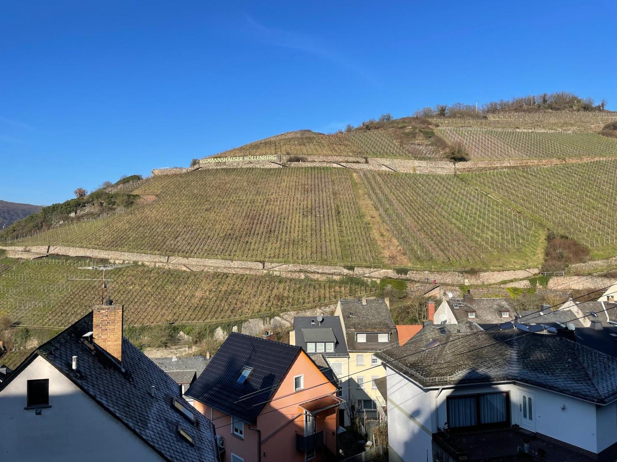 Haus Am Weinberg Apartment Rüdesheim am Rhein Cameră foto