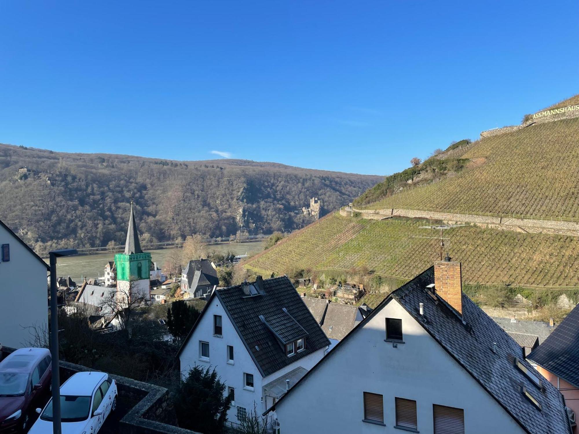 Haus Am Weinberg Apartment Rüdesheim am Rhein Exterior foto